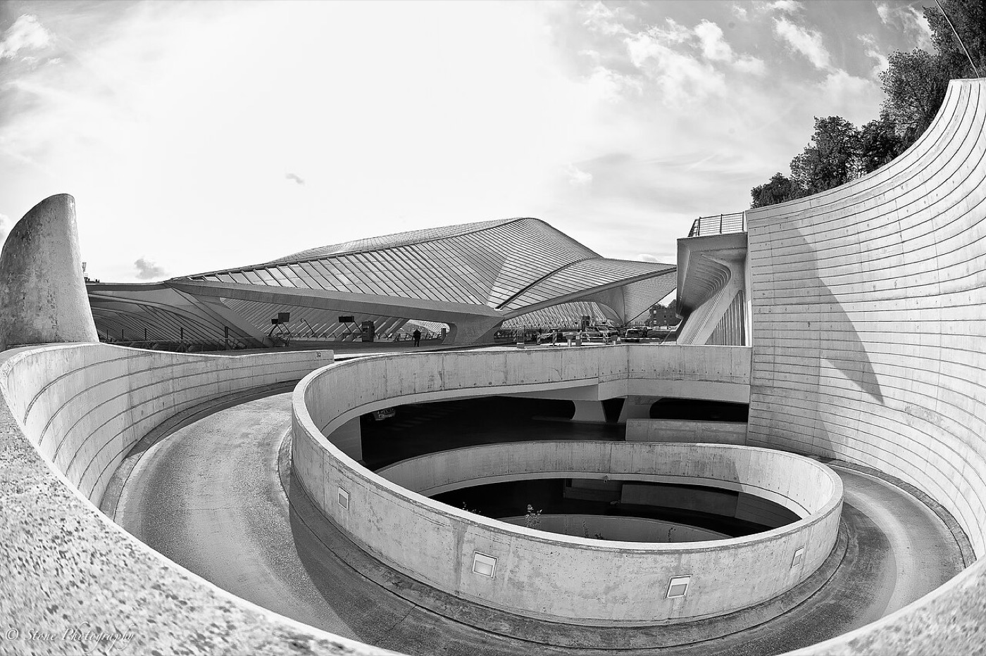 Gare de Liège-Guillemins, structure Calatrava